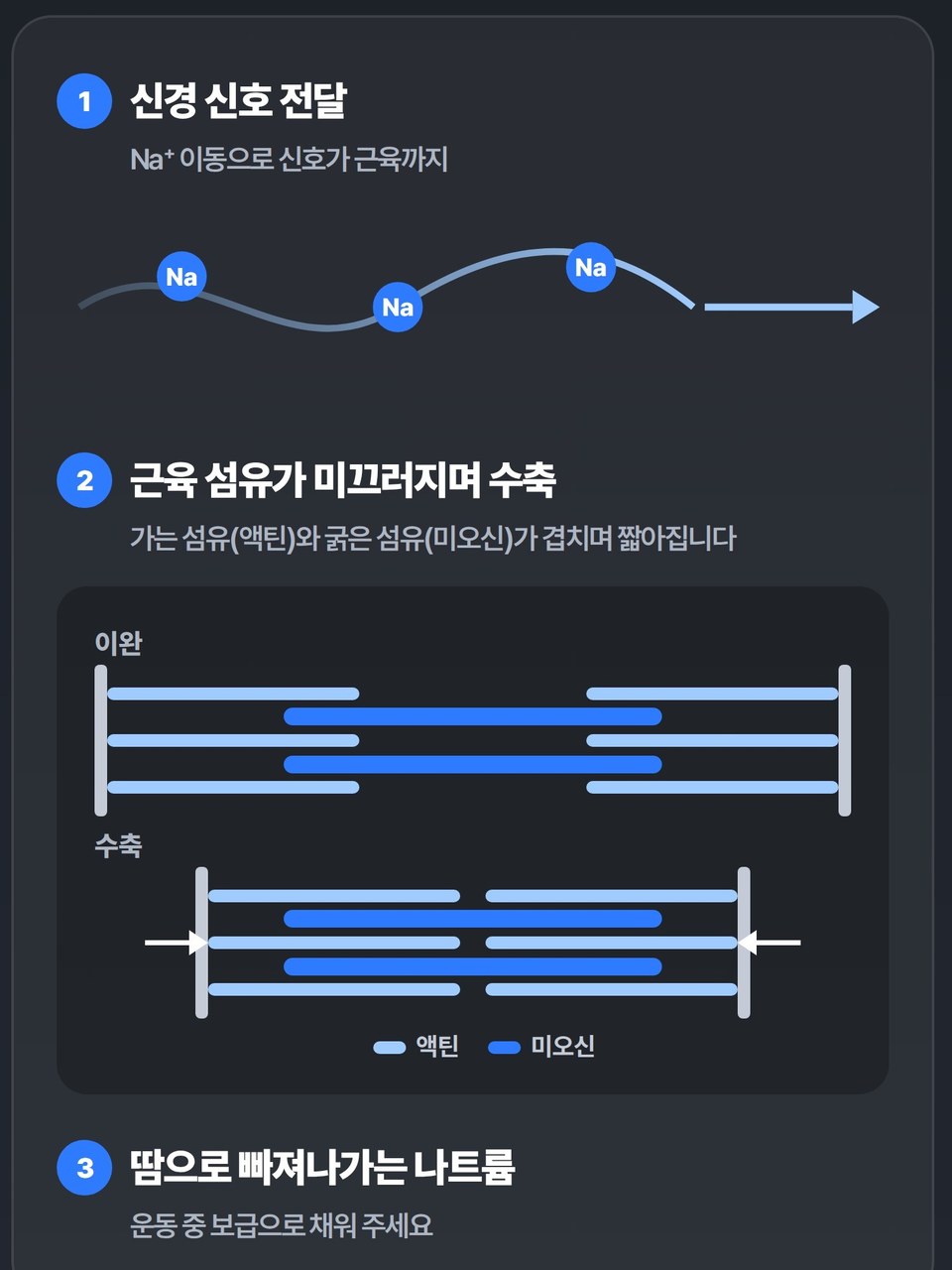 나트륨이 하는 일 — 신경 신호 전달, 근육 섬유의 수축, 땀으로 빠져나가는 나트륨